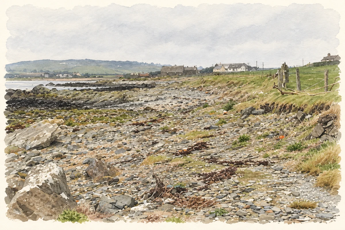 Watercolour and fine ink illustration of The rocky foreshore near Minerstown, north of Rathmullan Point, as photographed in January 2012.