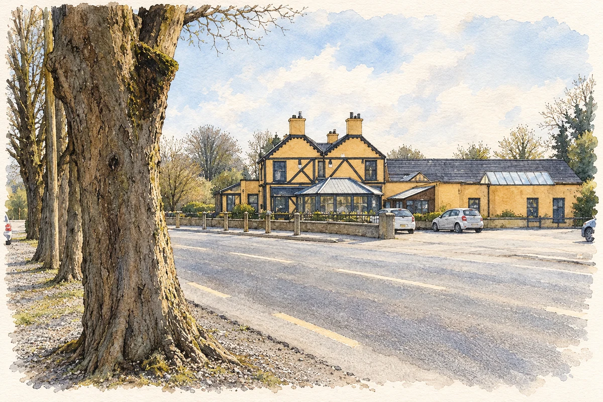 Watercolour and fine ink illustration of Village roadside, Brittas.