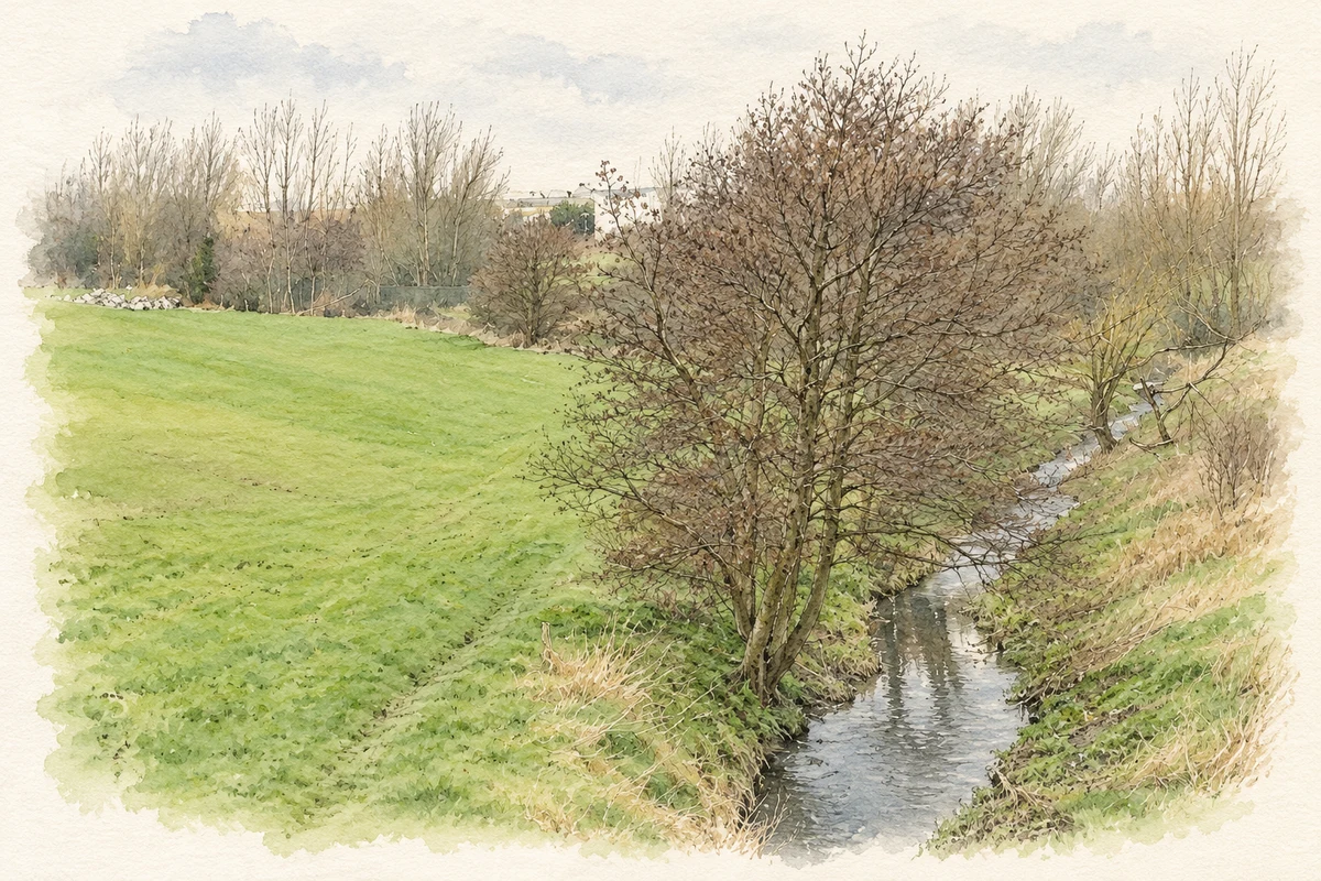 Watercolour and fine ink illustration of Santry River at Kilmore, Dublin.