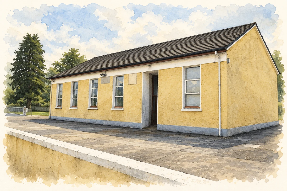 Watercolour and fine ink illustration of National School, Clonbur, County Galway.