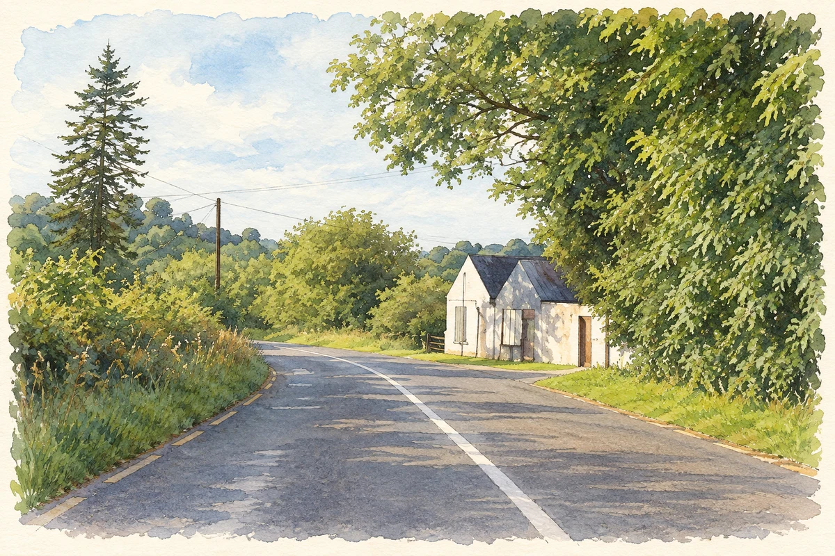 Watercolour and fine ink illustration of The roadside store at Northlands, south of Shercock, as photographed in July 2012.