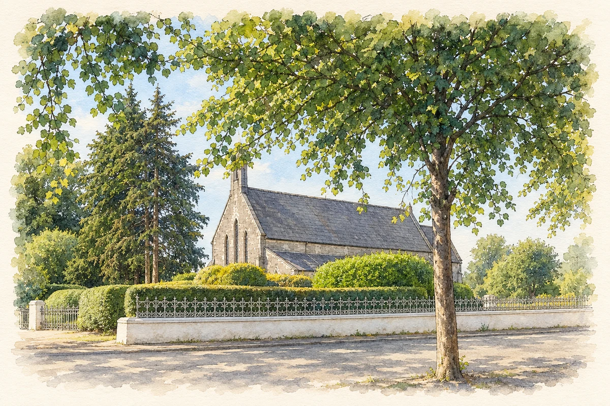 Watercolour and fine ink illustration of St James Church, Charlestown.