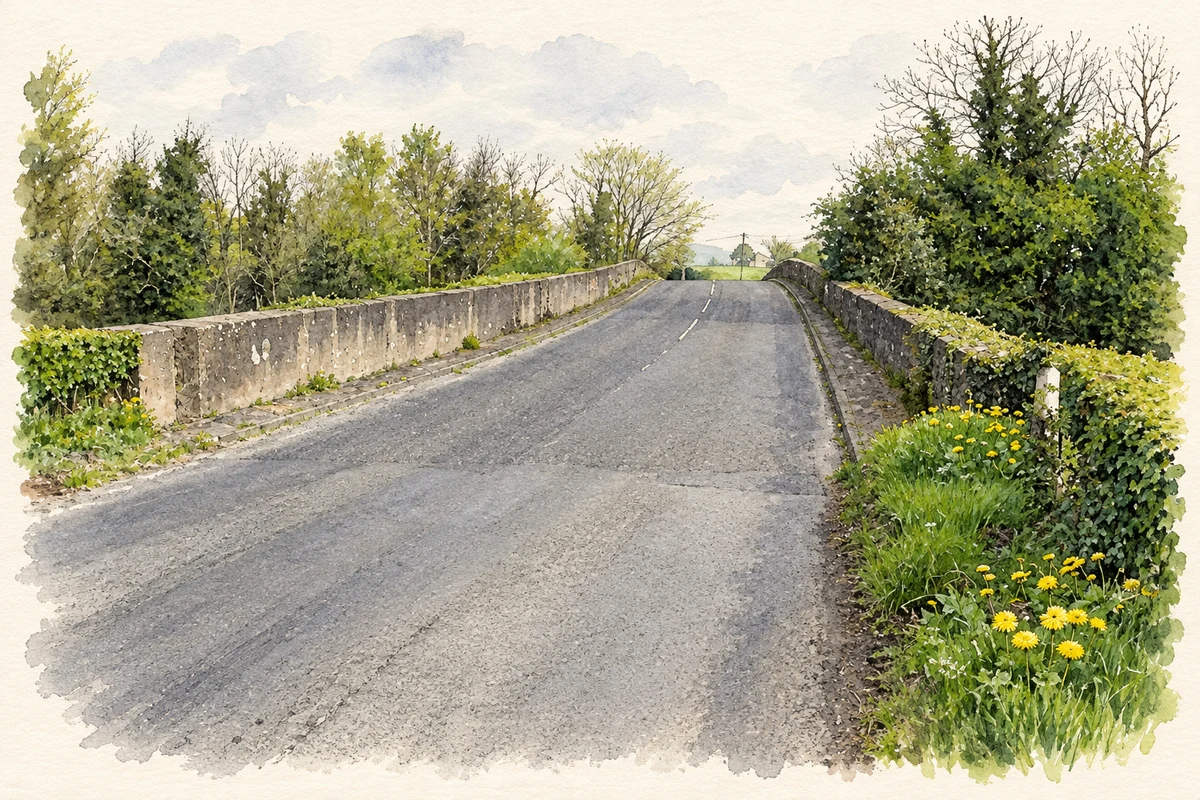 Watercolour and fine ink illustration of The road across Mourne Beg Bridge, as photographed in April 2014.