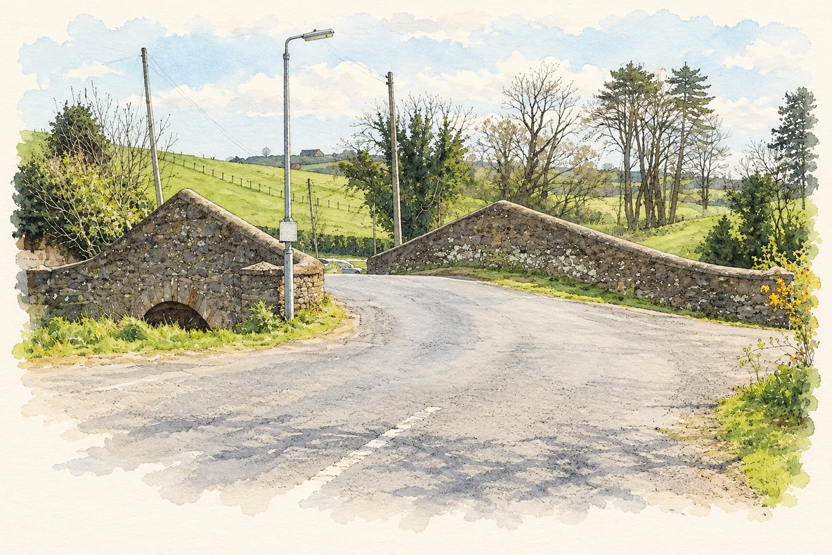 Watercolour and fine ink illustration of The Newry Canal bridge at Jerrettspass, as photographed in 2019.