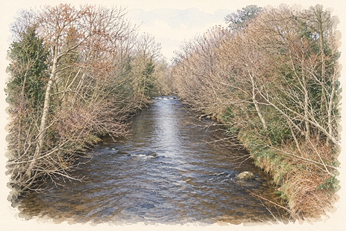 Watercolour and fine ink illustration of White Water River above Lower White Water Bridge, near Ballyardel, County Down.