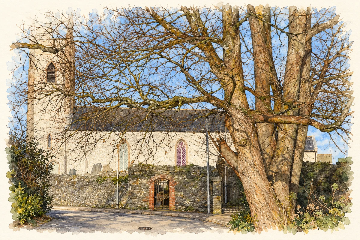 Watercolour and fine ink illustration of Killinchy Parish Church behind winter trees, as photographed in 2006.
