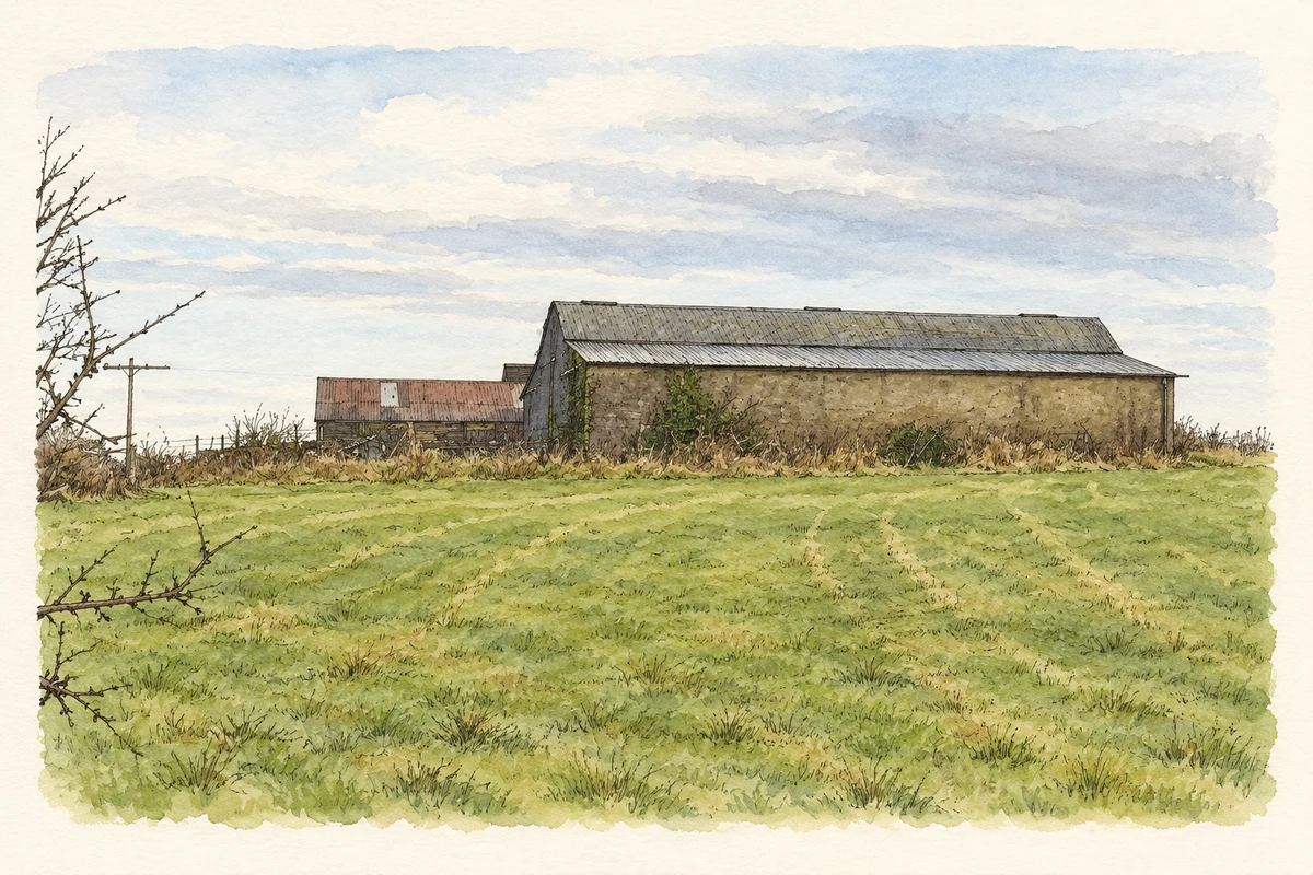 Watercolour and fine ink illustration of Farm outbuildings in Taughblane townland, as photographed in December 2005.