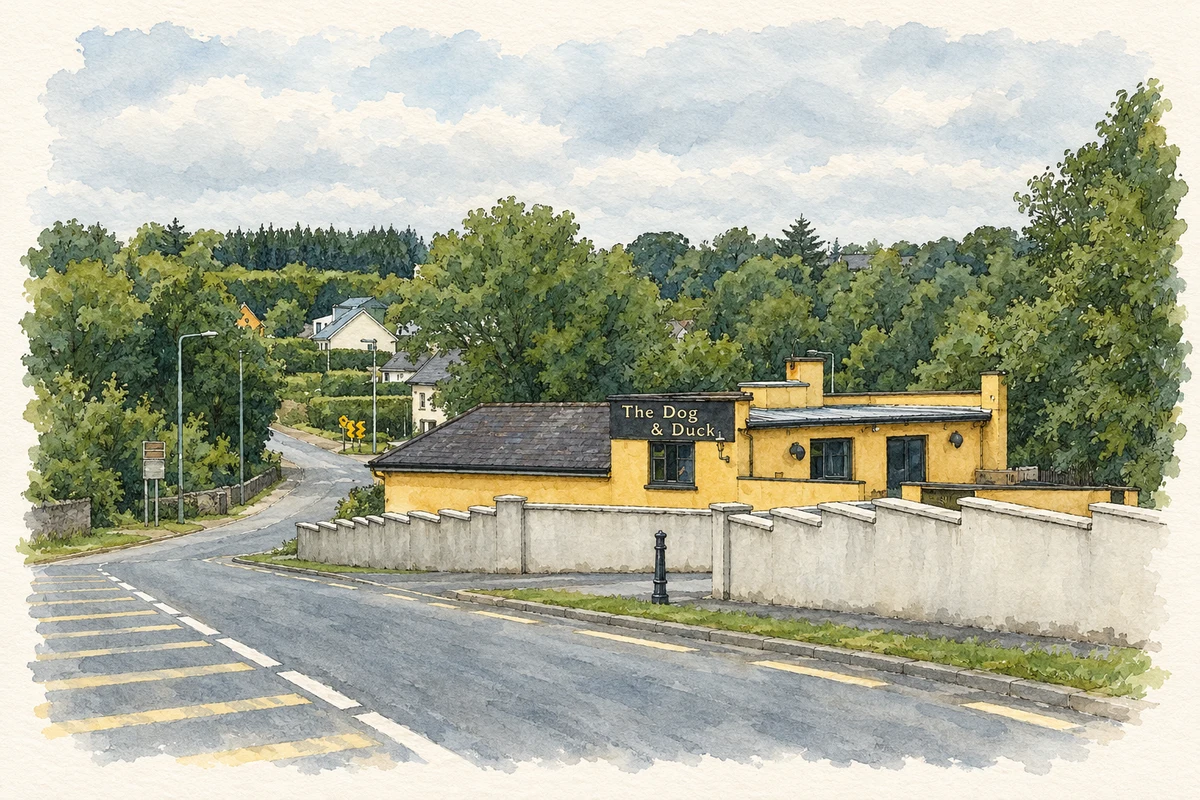 Watercolour and fine ink illustration of Dog and Duck public house, Ballykeeran, 2013.