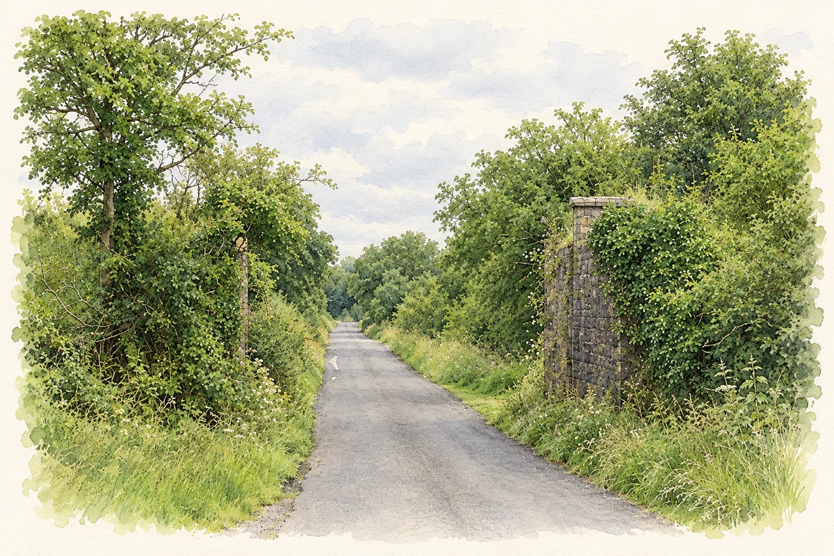 Watercolour and fine ink illustration of Former railway bridge abutments near Lismacaffry, as photographed in 2012.