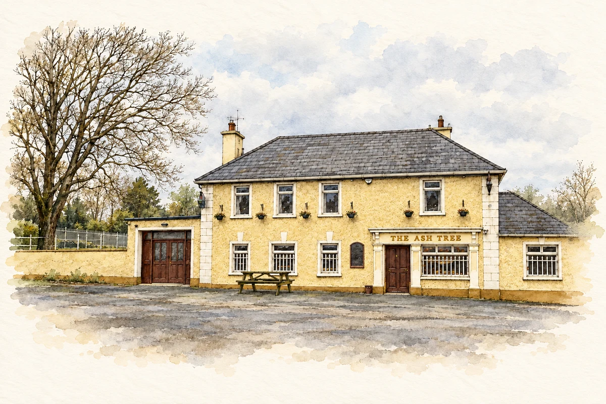 Watercolour and fine ink illustration of The Ash Tree public house, Ballywilliam, 2019.