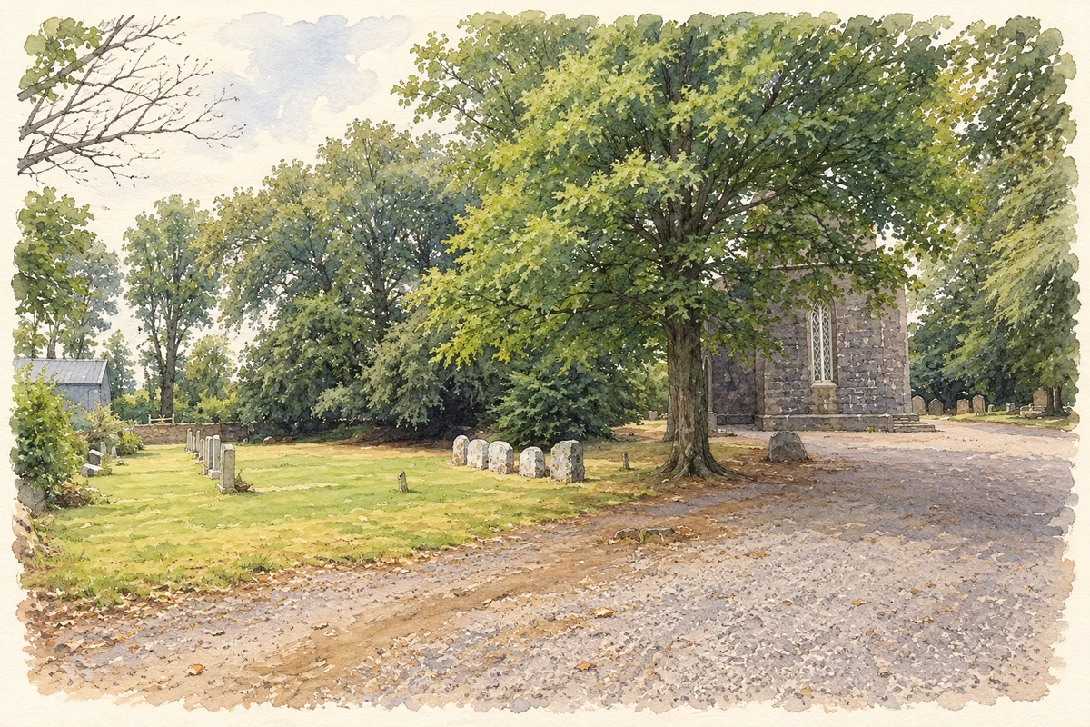 Watercolour and fine ink illustration of Saint Enoch’s Church and graveyard at Killinick.