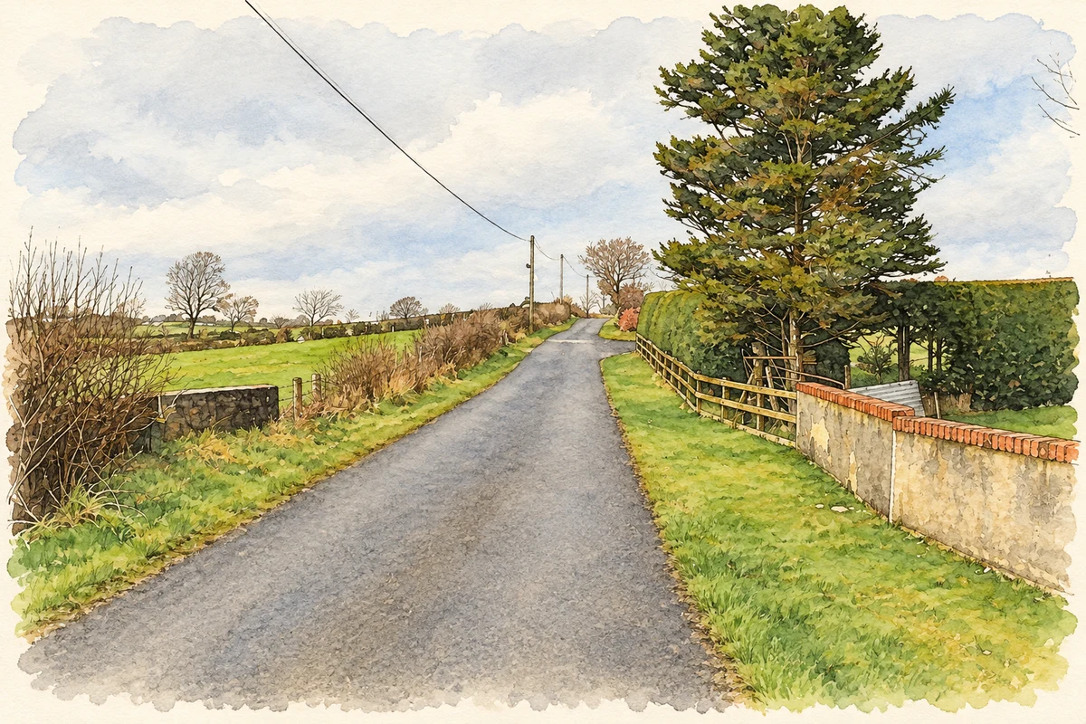 Watercolour and fine ink illustration of Mullaslin Road at Mullaghslin Glebe, as photographed in January 2019.