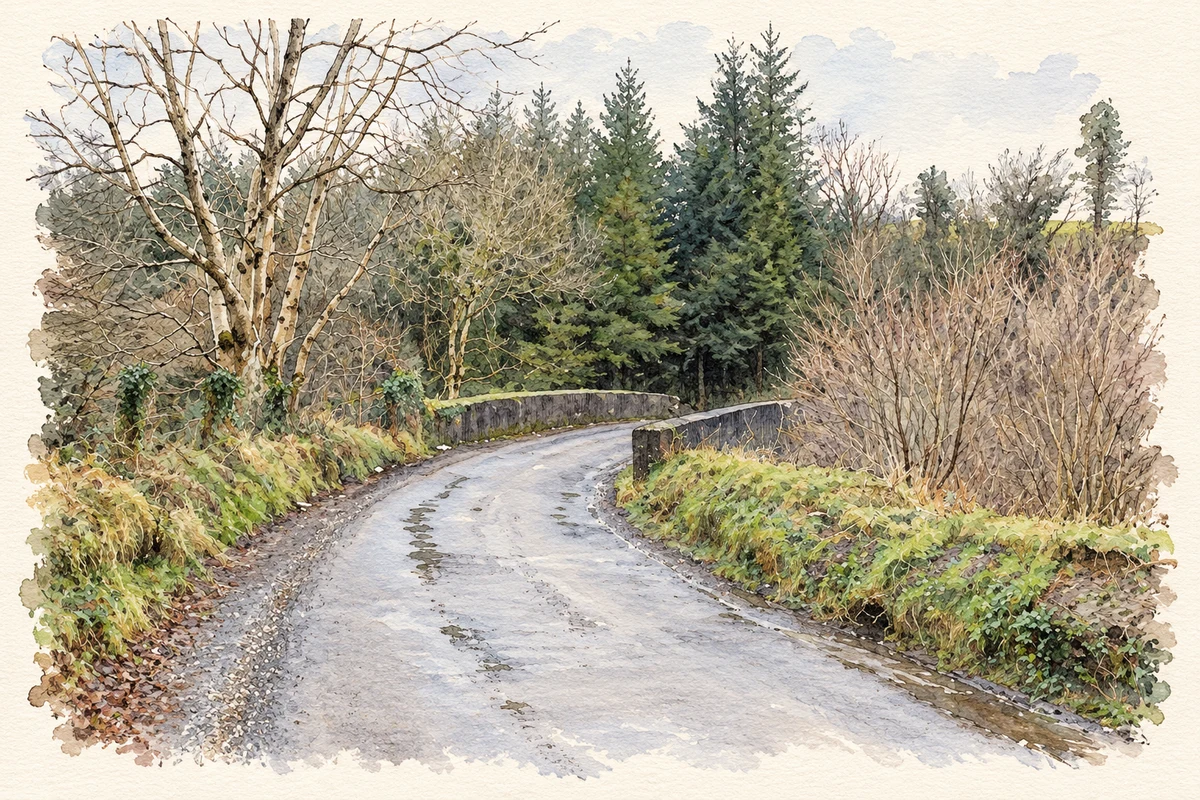 Watercolour and fine ink illustration of Dunnyboe Bridge, Altishane.