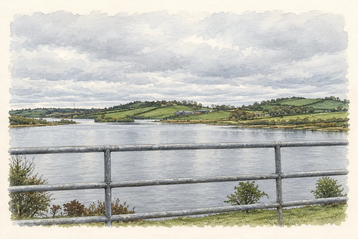 Watercolour and fine ink illustration of Lough Egish at Tullynahinnera, as photographed in April 2011.