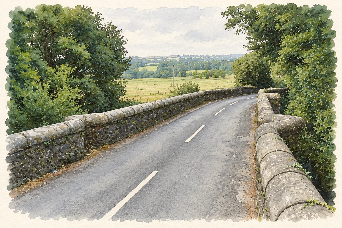 Watercolour and fine ink illustration of Nunscross Bridge over the River Vartry, as photographed in August 2009.