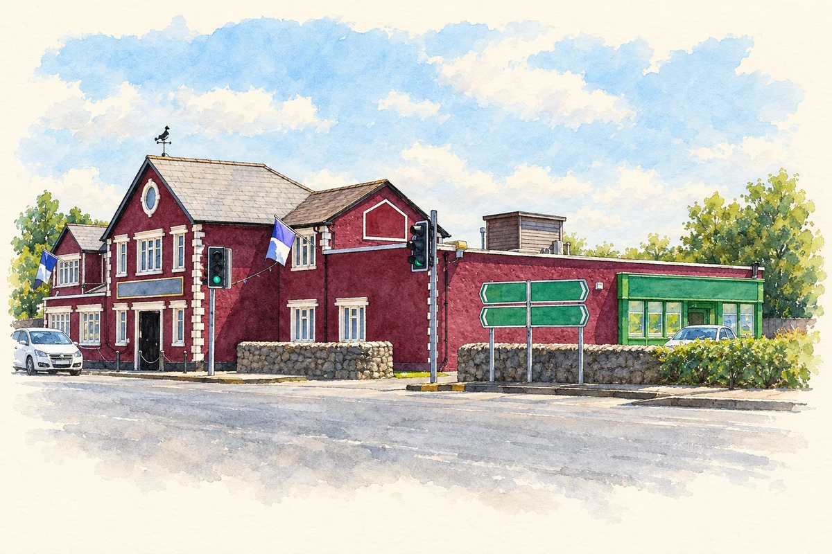 Watercolour and fine ink illustration of Jobstown House on Blessington Road, as photographed in 2017.