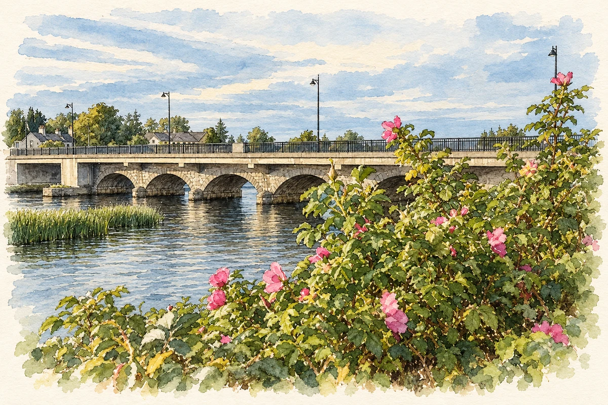 Watercolour and fine ink illustration of Lanesborough Bridge from the riverside.