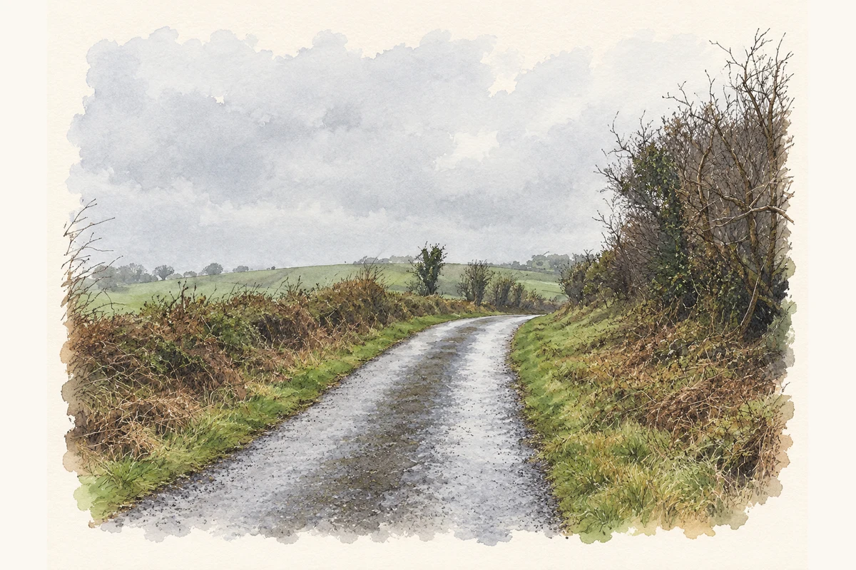 Watercolour and fine ink view of a wet narrow lane curving between bramble hedges and bare trees near Castletown Kinneigh in Cork.